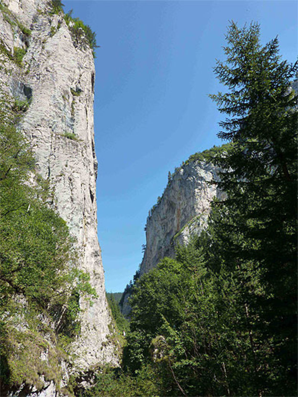 Gorges ensoleillées