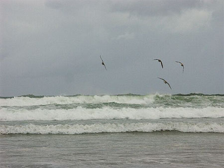 Vagues à Stradbally Strand Vagues à Stradbally Strand