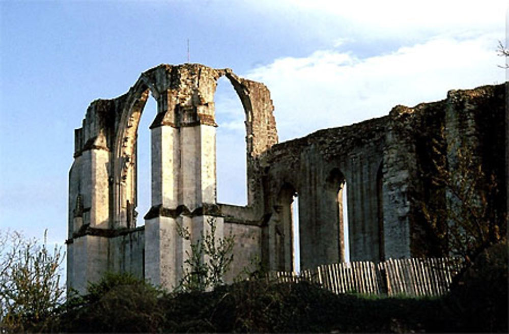 L'abbaye de Maillezais