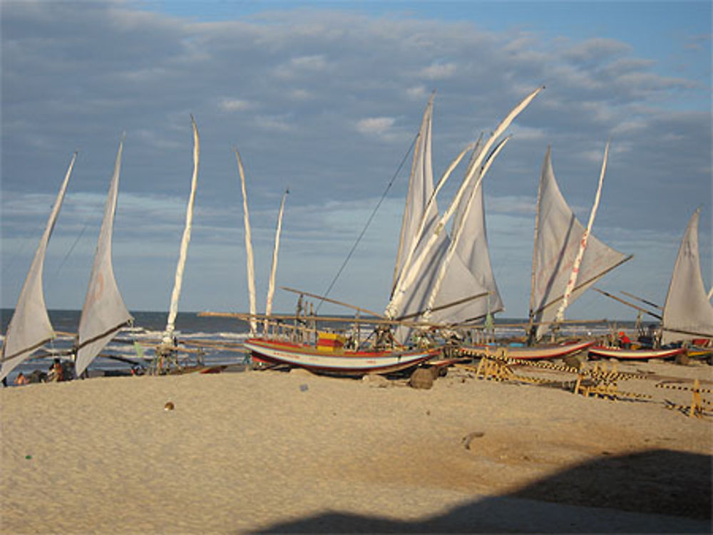 Jangadas à Morro Branco