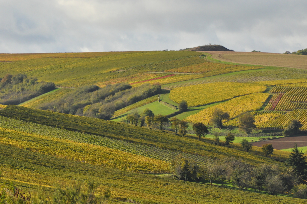 En quittant Sury-en-Vaux