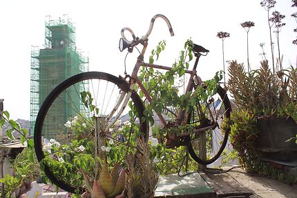 Vélo Minaret Rcif