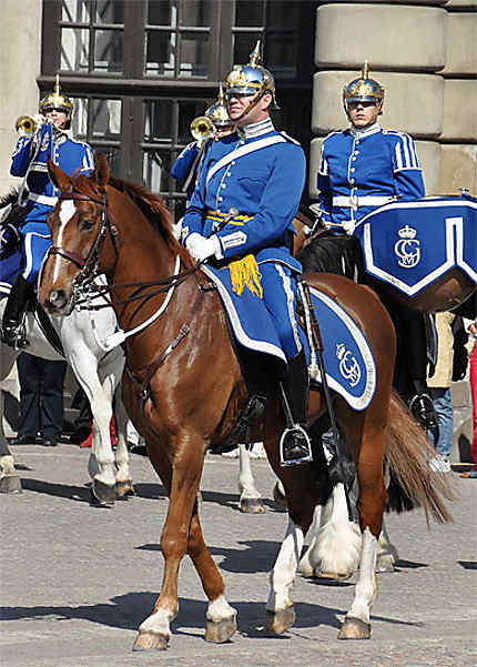 Cavalier de la Garde du palais royal