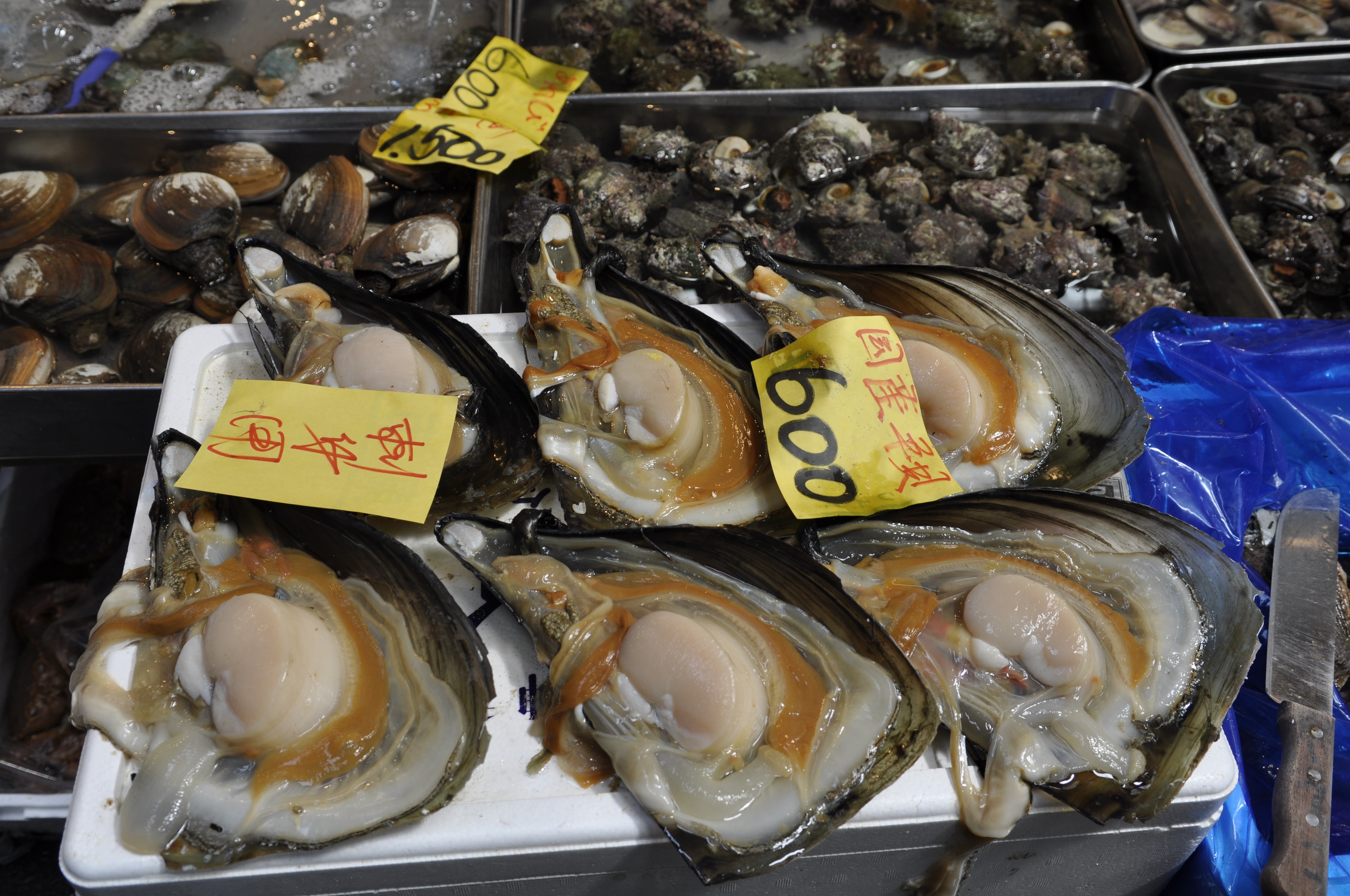 Tsukiji Tsukiji