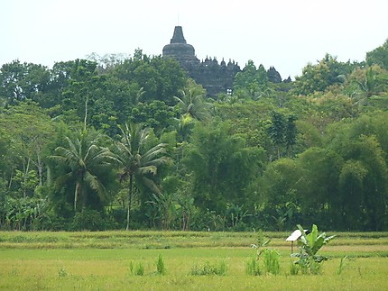Autour de Borobudur