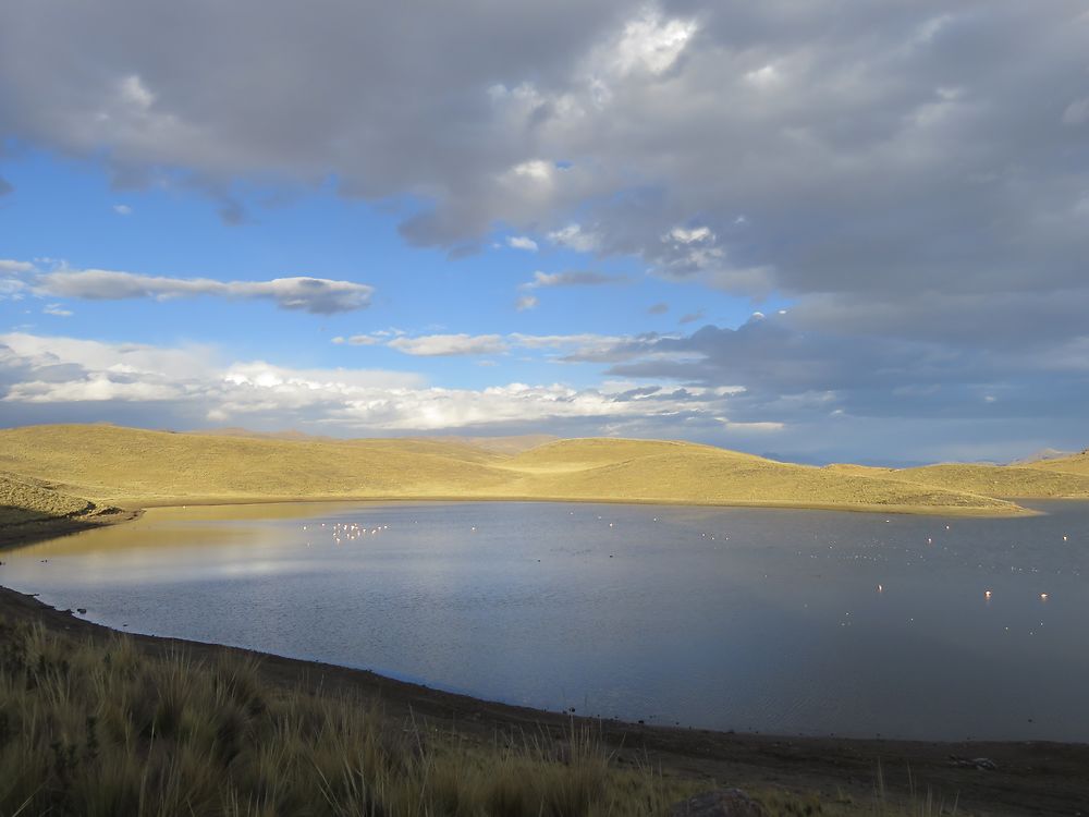 Lagunillas et ses flamants roses