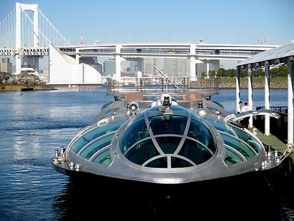 Visite du port de la baie et de la rivière Sumida