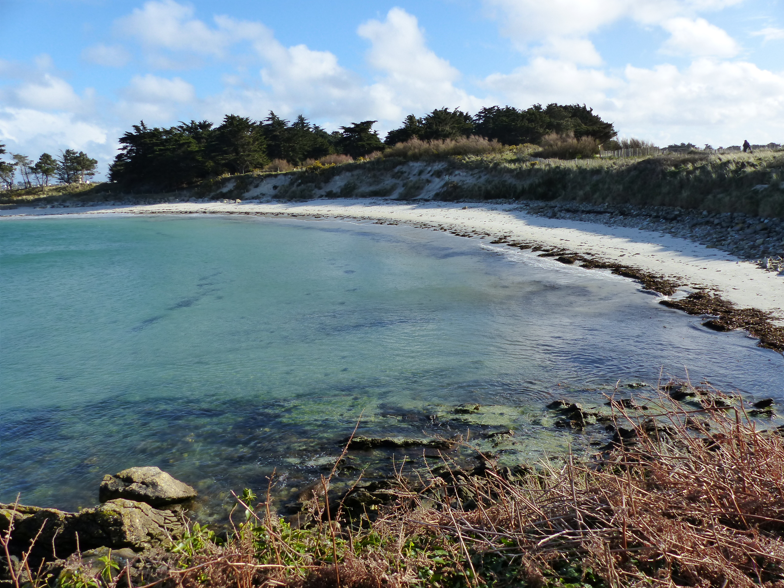 Plage à la pointe de Perharidy : Plages : Mer : Roscoff (Rosko) : Finistère  : Bretagne : Routard.com