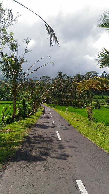 Sur la route de Bali