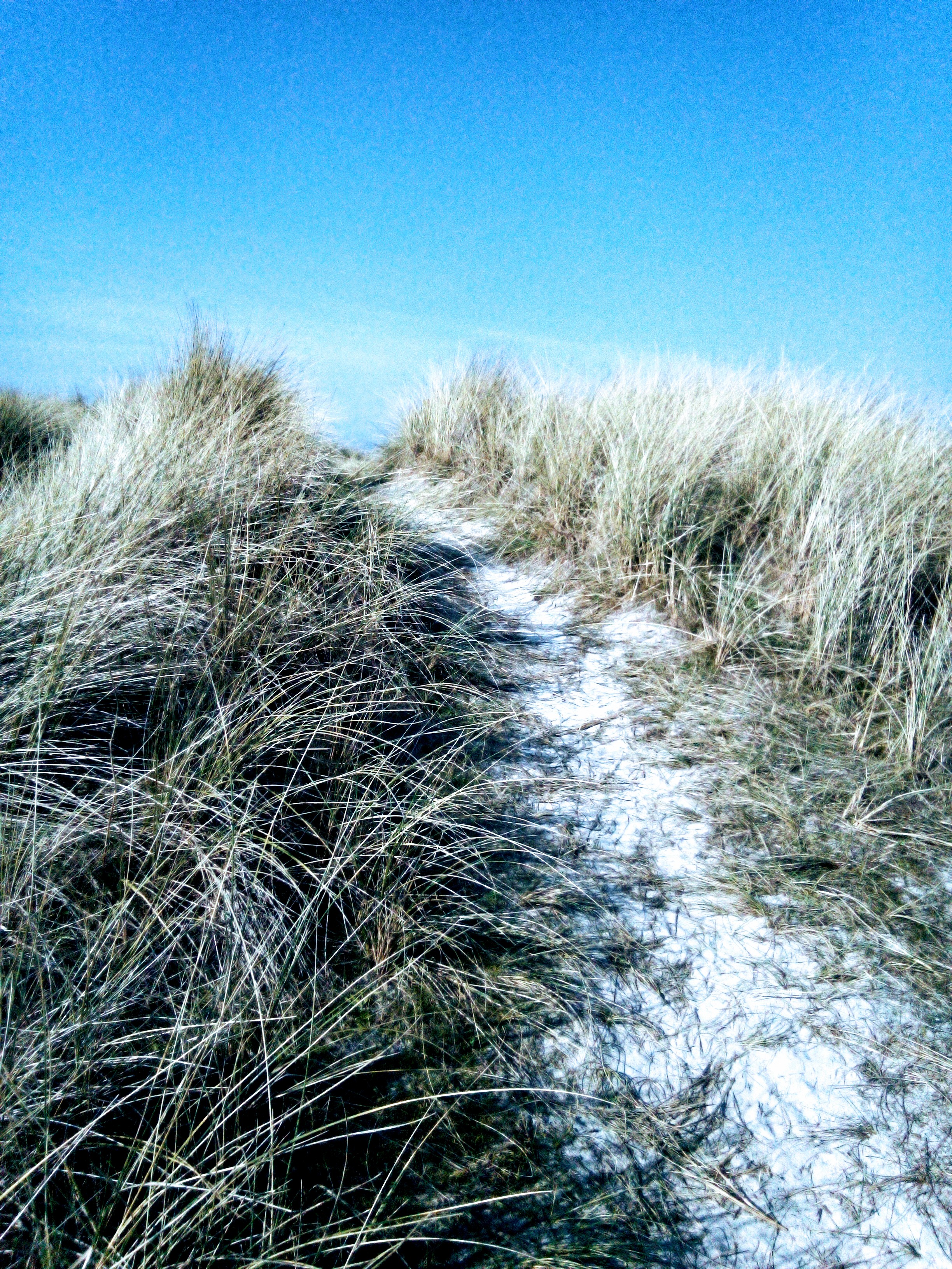 Dunes de Keremma Dunes de Keremma