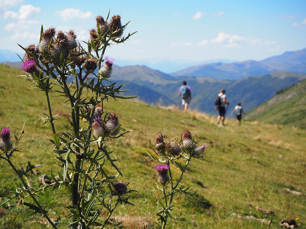 L'adieu à la montagne