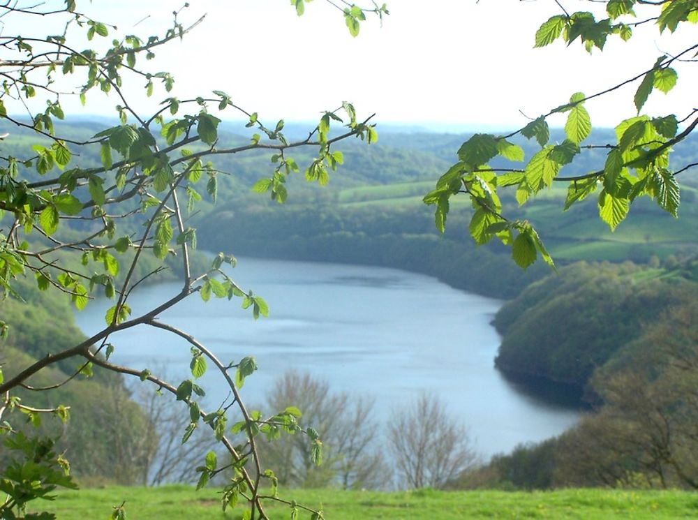 Grand lac du Barrage de Sarrans sur la Truyère