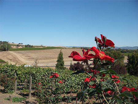 Napa Valley Napa Valley