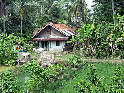 Habitation entre Jakarta et Yogyakarta