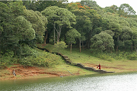 Nature Nature