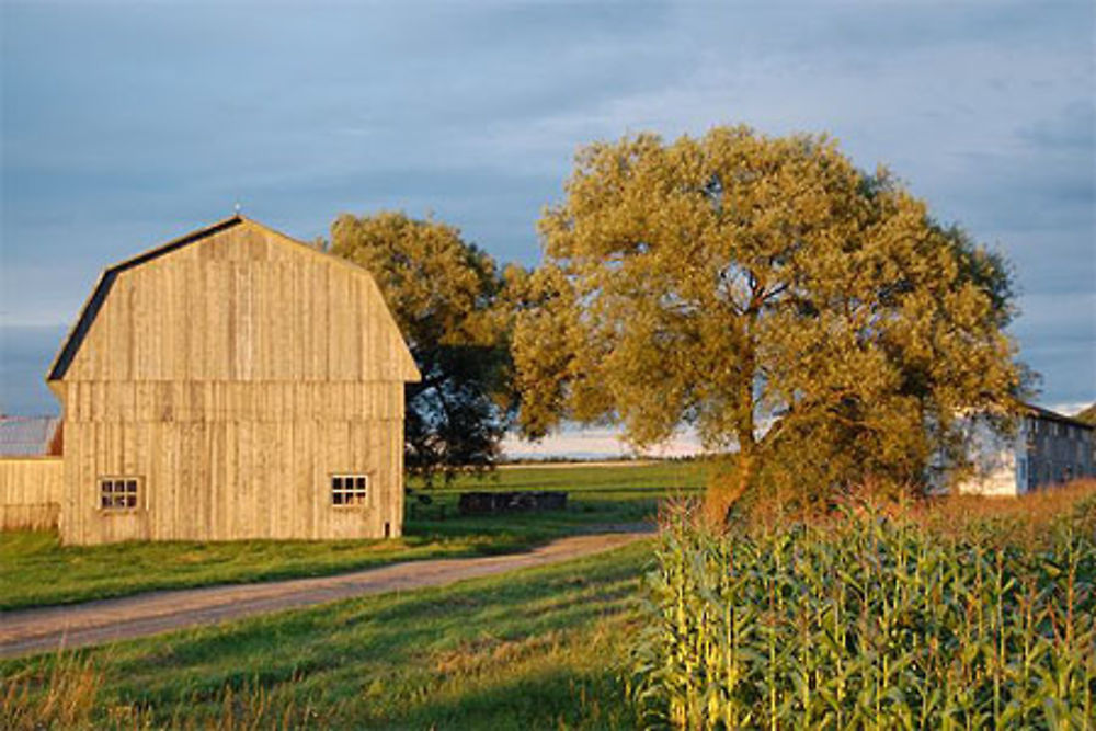 Ferme traditionnelle québecoise