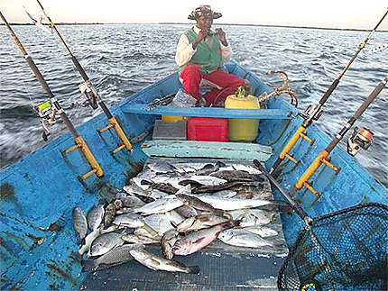 La pêche au Sénégal