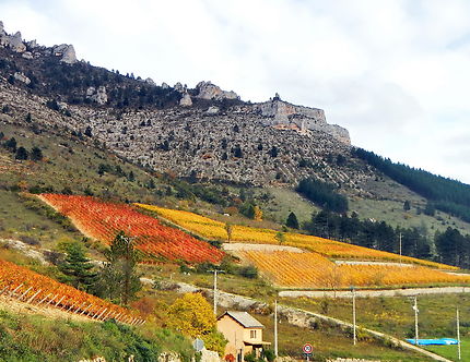 Village et vignes de Castelbouc