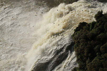 Saltos del Monday Saltos del Monday