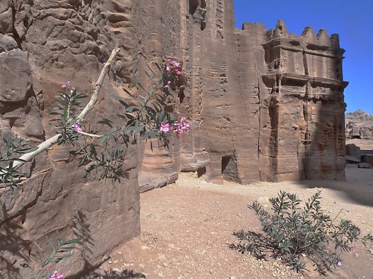 Pétra (Wadi Musa) - Emmeline Fagot