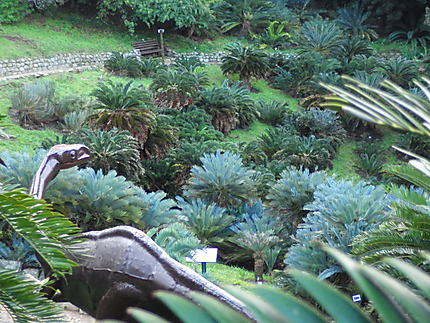 Jardin botanique Kirstenbosch