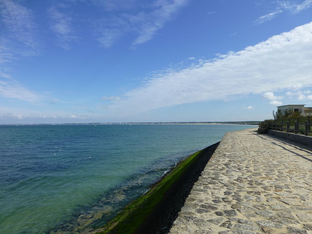 Marche à Pen Bron, Loire-Atlantique