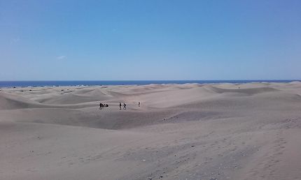 Les dunes de sable de Maspalomas, Canaries
