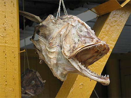 Tête de poisson séchée Tête de poisson séchée