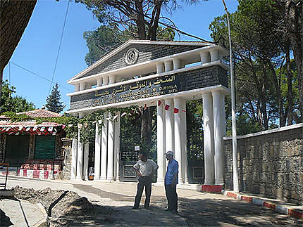Site historique de Djemila ( Sétif , Algérie)