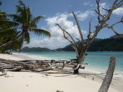 Ile privée aux Seychelles