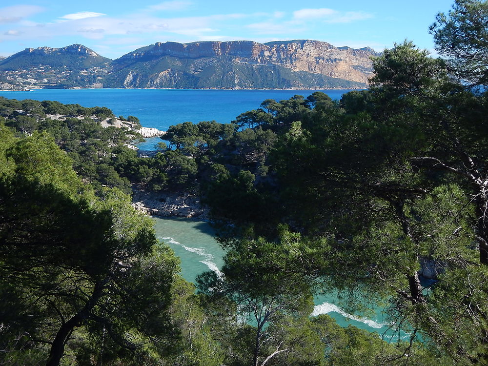 Calanque de Port-Pin et Cap Canaille