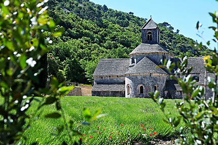 Abbaye N.D. de Senanque