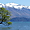 Lone Tree - Wanaka Lake