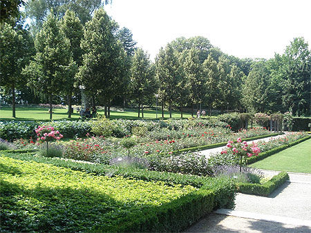 Jardin des roses - Berne