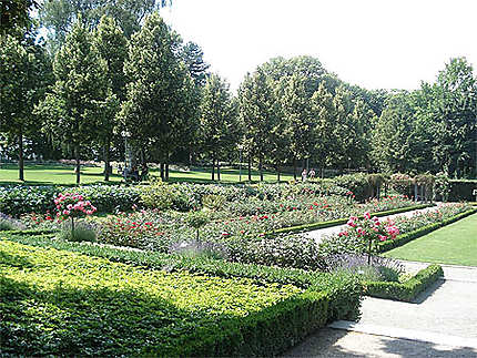 Jardin des roses - Berne