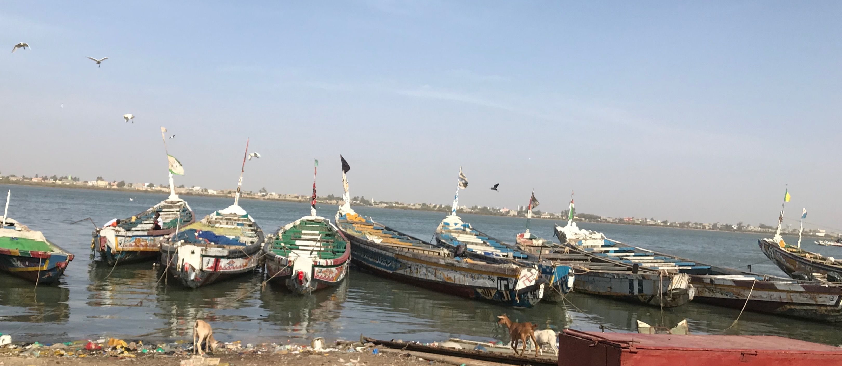 Barques de pêcheurs à Saint-Louis, Sénégal