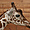 Portrait de girafe
