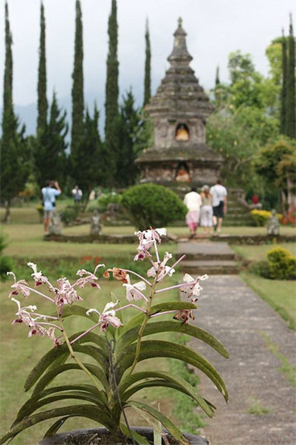 Orchidée et monument bouddhiste