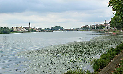 La Saône à Mâcon