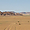 Wadi Rum 