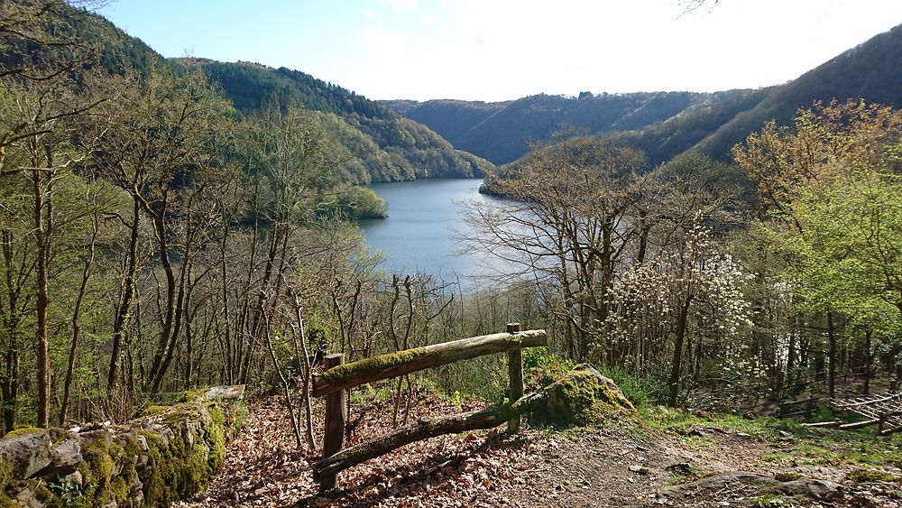 Vue sur la Dordogne depuis le jardin de Bardot