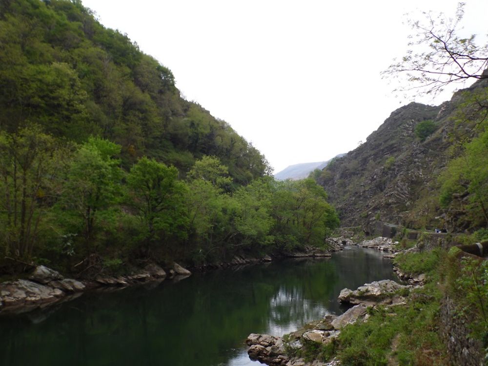 Les gorges de la Nive