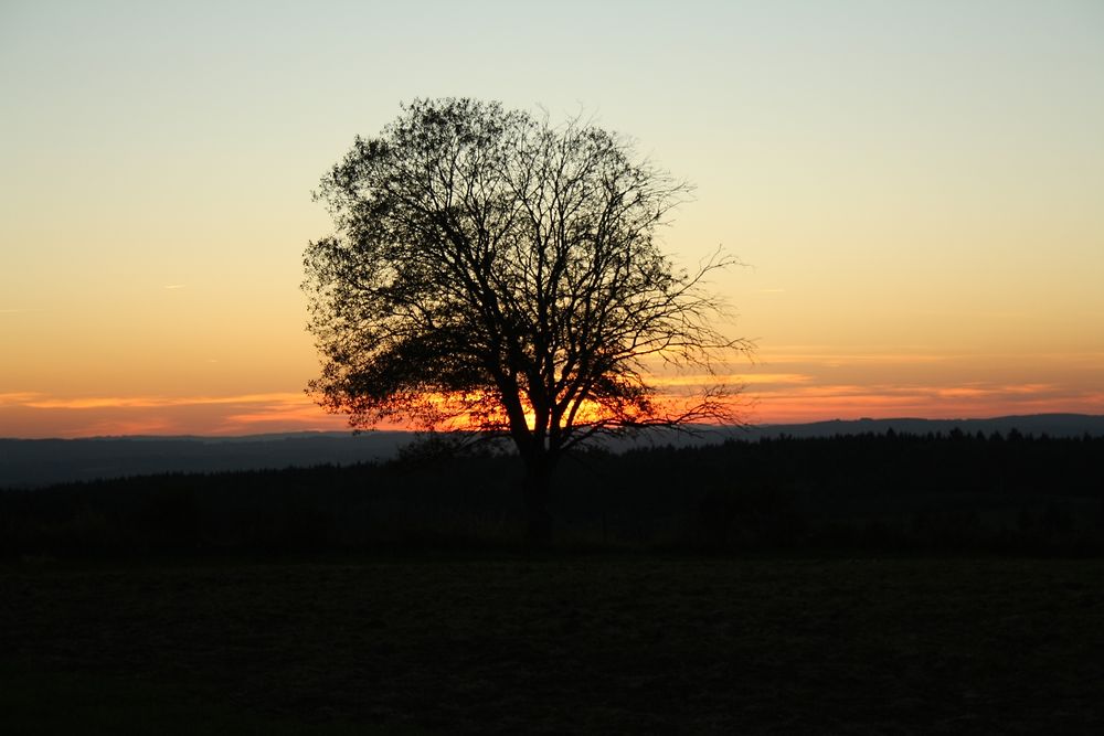 Coucher de Soleil automnal et Auvergnat