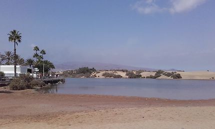 Lagune derrière la plage de Maspalomas