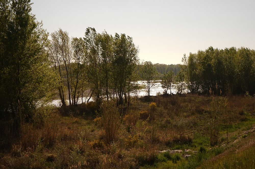 Durance à Cadenet