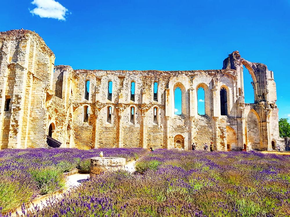 Abbaye de Maillezais 