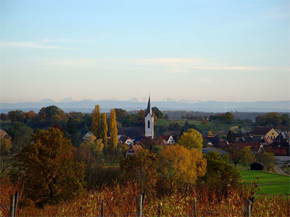 Vue des alpes sur les hauteurs de Hartmannswiller