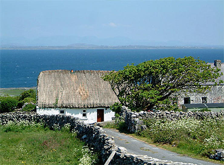 Îles d'Aran (Oileáin Árann) - Brirys
