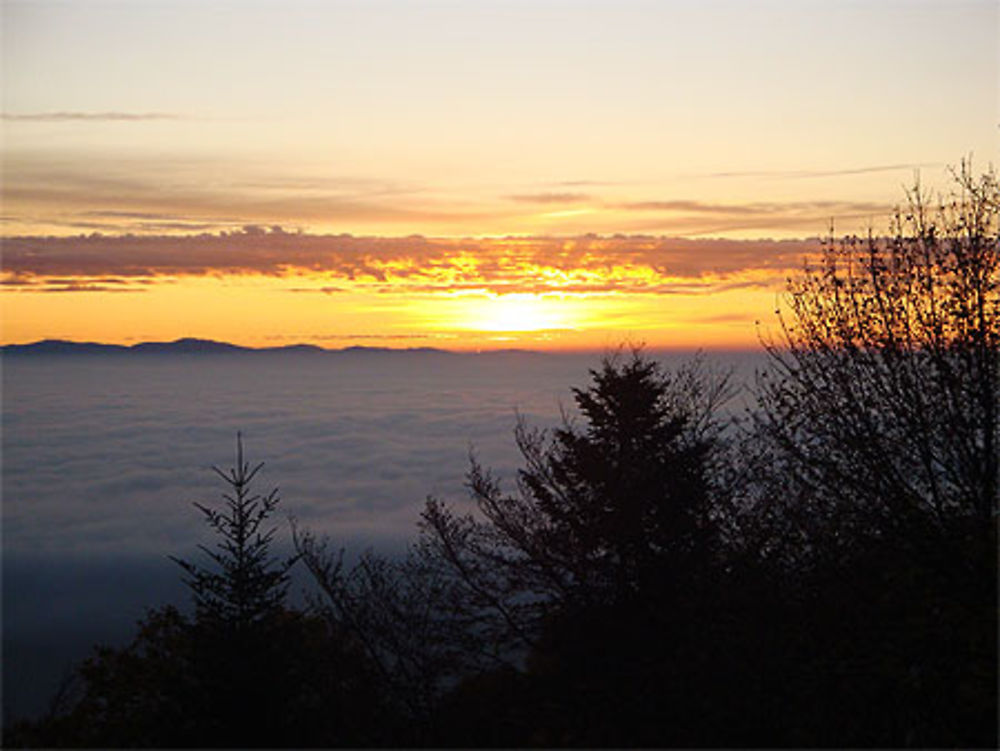 Lever de soleil sur la plaine d'Alsace 