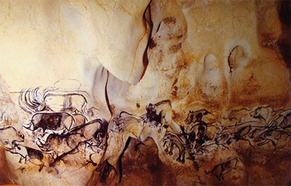 Grotte Chauvet